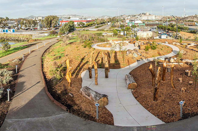 Solar Trail Lights Herons Head Eco Park California