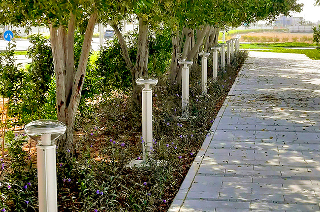 Solar Lights with no direct sunlight